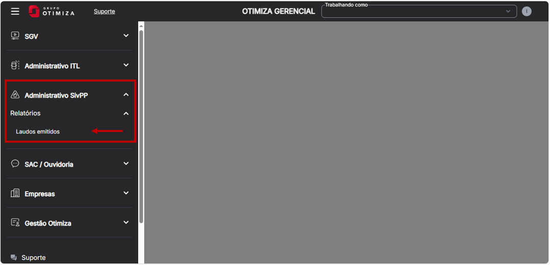 Consulta de dados no otimiza gerencial 2.PNG